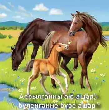 Аерылганны аю ашар, бүленгәнне бүре ашар