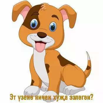 Эт үзенә ничек хуҗа эзләгән