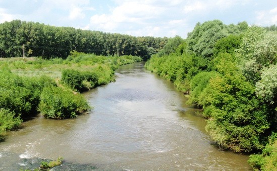 река Туры елга
