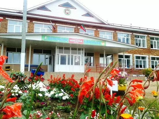 школа поселок Победа РТ