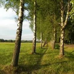 История поселка Танаевка