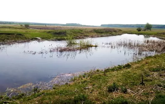 река Зирикла в п.Пионер