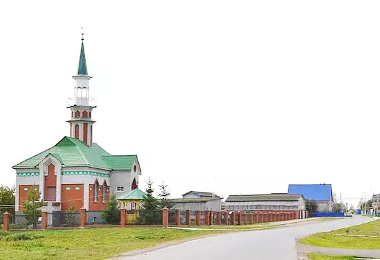 Мечеть с.Аняково