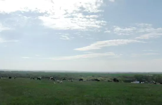 Нижнее Яхшеево авылы