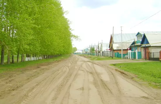 село Новое Алимово