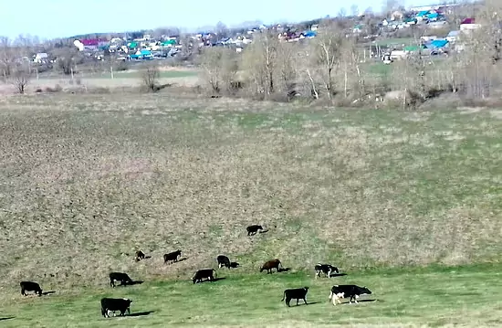 село Старое Балтачево
