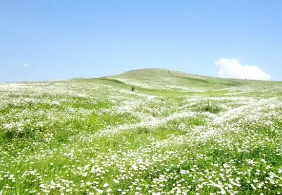 село Кзыл-Чишма