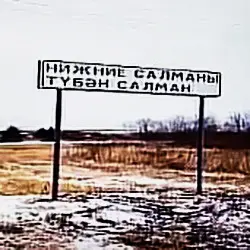 История села Нижние Салманы