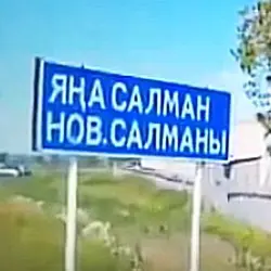 История села Новые Салманы