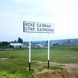 История села Старые Салманы