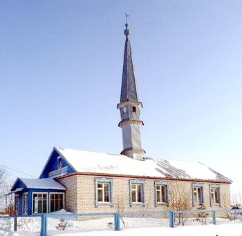 мечеть село Новые Салманы