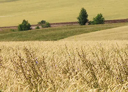 село Хлебодаровка,Республика Татарстан