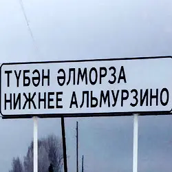 История села Нижнее Альмурзино