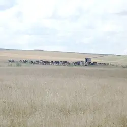 История села Бурнашево