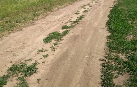 село Арняш, Среднеатынское сельское поселение, Арский район, Республика Татарстан