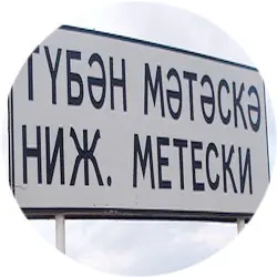 История села Нижние Метески