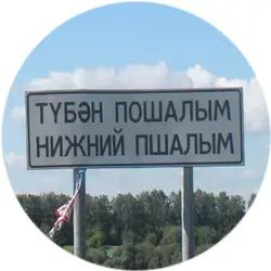 История села Нижний Пшалым