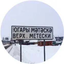 История села Верхние Метески
