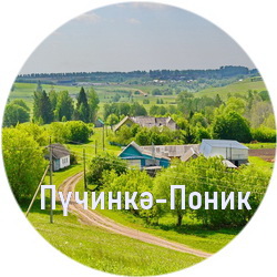 История села Починок-Поник