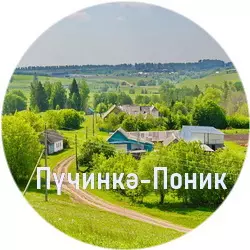 История села Починок-Поник